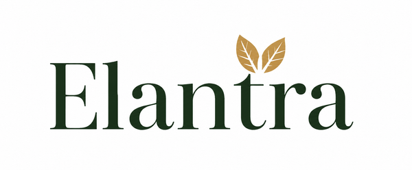 Elantra